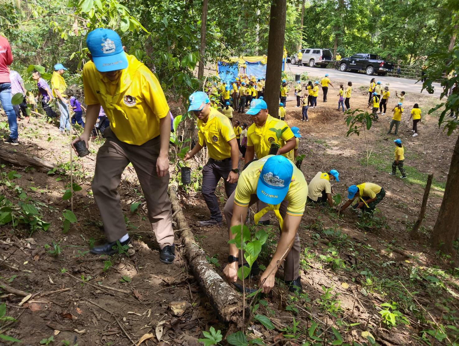 จิตอาสาปลูกป่า เนื่องในวันคล้ายวันเฉลิมพระชนมพรรษาสมเด็จพระนางเจ้าฯ พระบรมราชินี ๓ มิถุนายน ๒๕๖๖