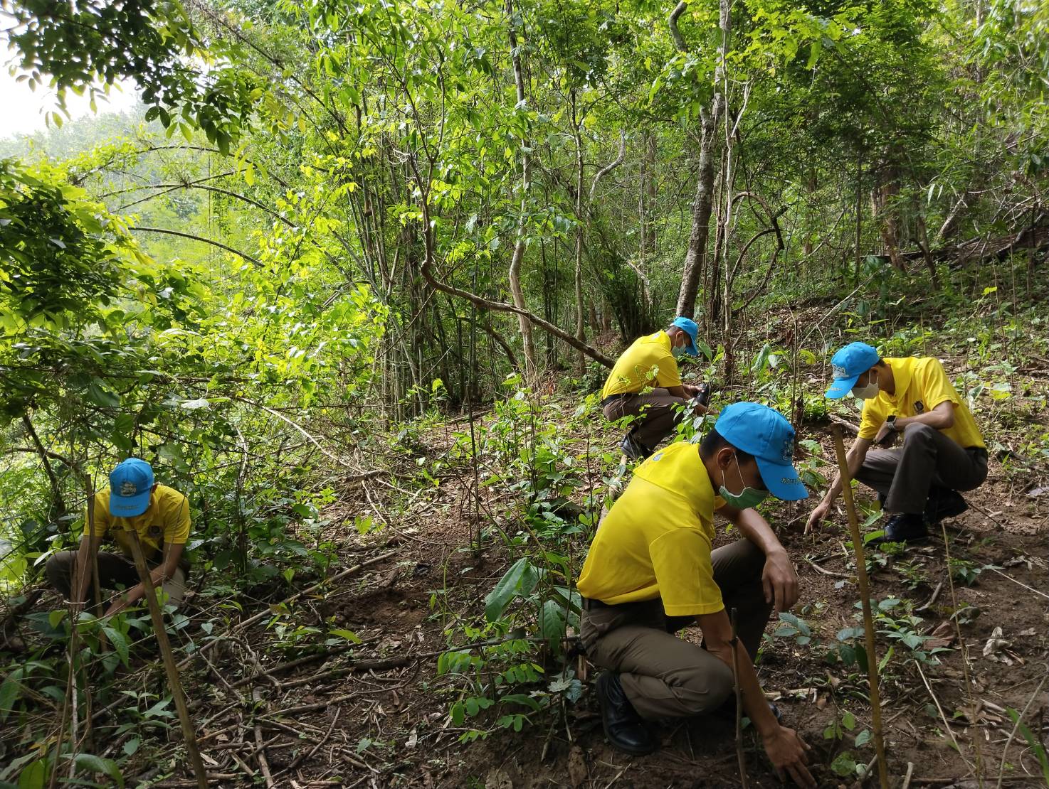 จิตอาสาปลูกป่า เนื่องในวันคล้ายวันเฉลิมพระชนมพรรษาสมเด็จพระนางเจ้าฯ พระบรมราชินี ๓ มิถุนายน ๒๕๖๖