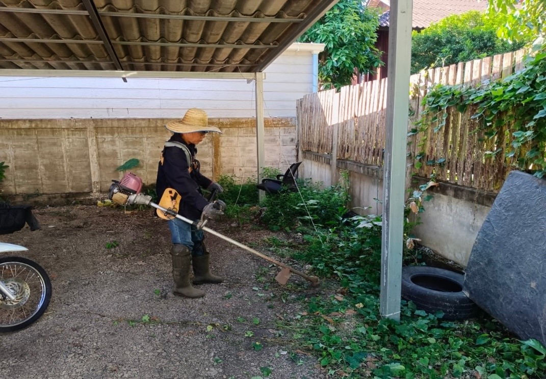 วันที่ 25 พฤศจิกายน 2567