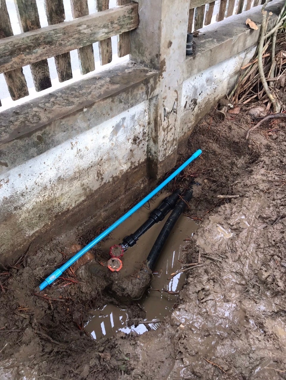 วันที่ 11 ธันวาคม 2567